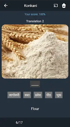 Learn Konkani. Speak Konkani.  screenshot 6