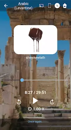 Learn Levantine Arabic. Speak  screenshot 3