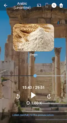 Learn Levantine Arabic. Speak  screenshot 4