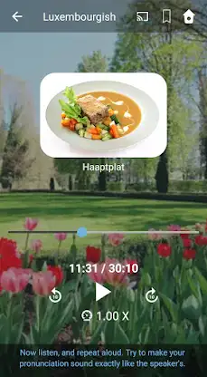 Learn Luxembourgish. Speak Lux screenshot 4