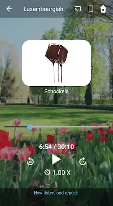 Learn Luxembourgish. Speak Lux screenshot 3