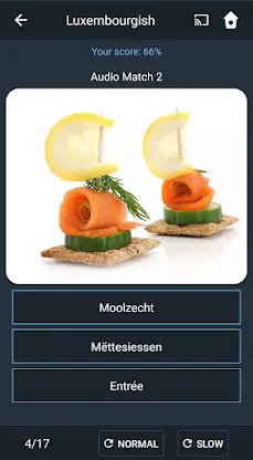 Learn Luxembourgish. Speak Lux screenshot 5