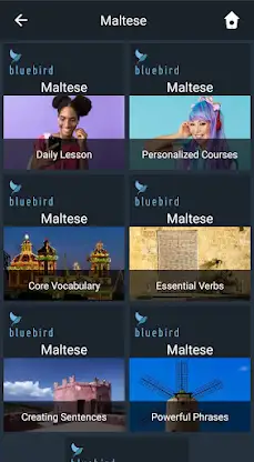 Learn Maltese. Speak Maltese.  screenshot 1