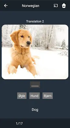 Learn Norwegian. Speak Norwegi screenshot 4