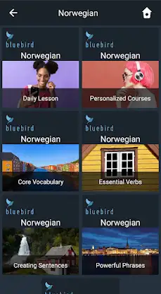Learn Norwegian. Speak Norwegi screenshot 1