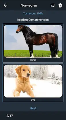 Learn Norwegian. Speak Norwegi screenshot 5