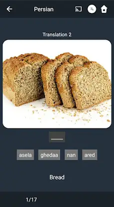 Learn Persian. Speak Persian.  screenshot 5