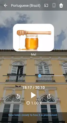Learn Brazilian Portuguese. Sp screenshot 1