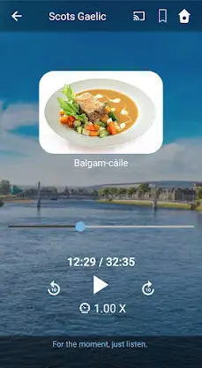 Learn Scots Gaelic. Speak Scot screenshot 3