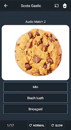 Learn Scots Gaelic. Speak Scot screenshot 4