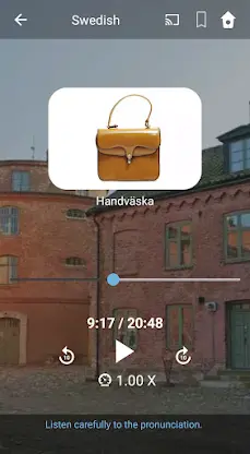 Learn Swedish. Speak Swedish.  screenshot 3