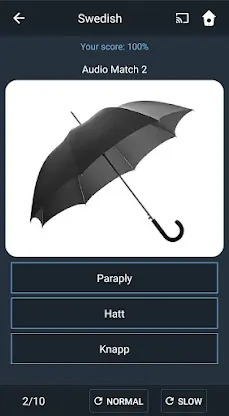 Learn Swedish. Speak Swedish.  screenshot 4
