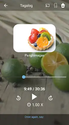 Learn Tagalog. Speak Tagalog.  screenshot 2