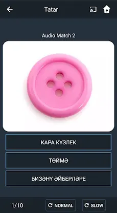 Learn Tatar. Speak Tatar. Stud screenshot 6