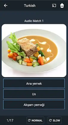 Learn Turkish. Speak Turkish.  screenshot 8