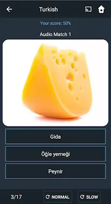Learn Turkish. Speak Turkish.  screenshot 7