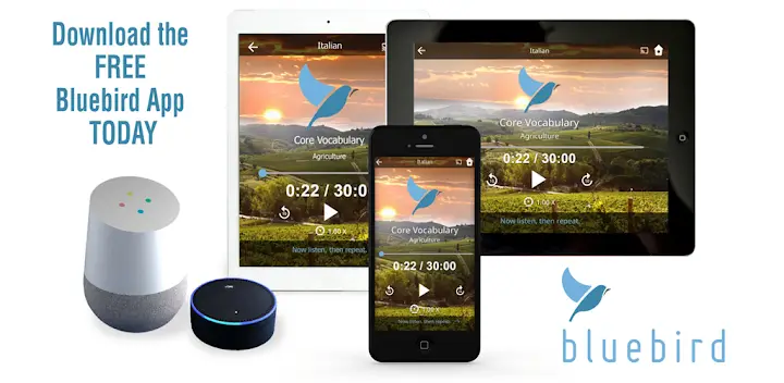 Learn 163 Languages | Bluebird — Android app banner