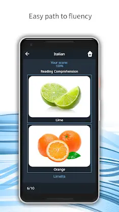 Learn 163 Languages | Bluebird screenshot 3