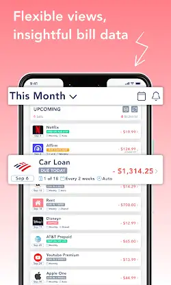 BillOut - Bill Organizer screenshot 4