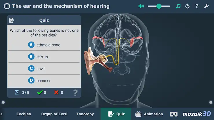The mechanism of hearing 3D screenshot 5