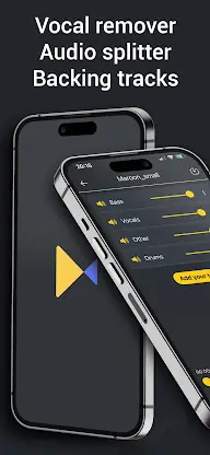 Vocal Remover & Audio Splitter screenshot 1