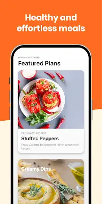 Crockpot Recipes Meal Plan screenshot 5