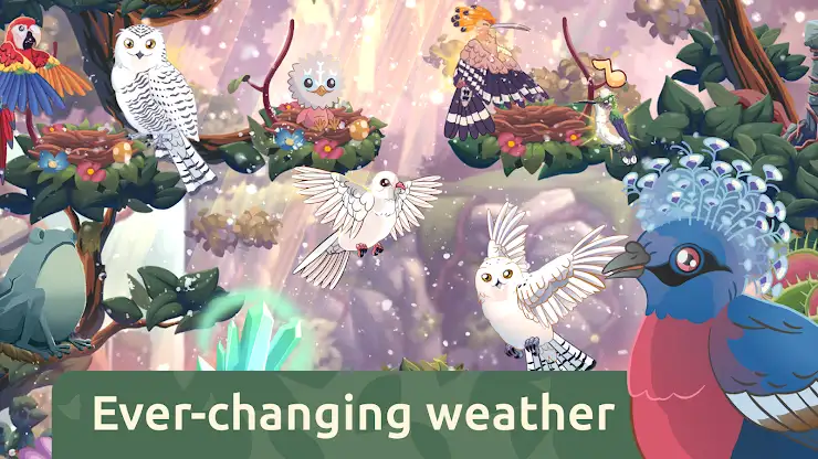 Bird Kind screenshot 4