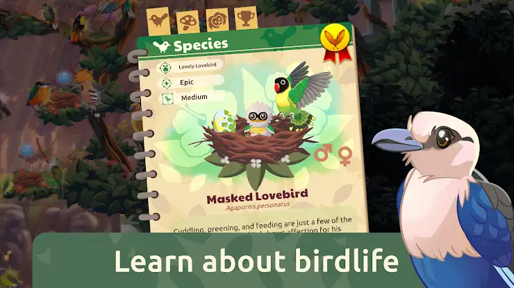 Bird Kind screenshot 6