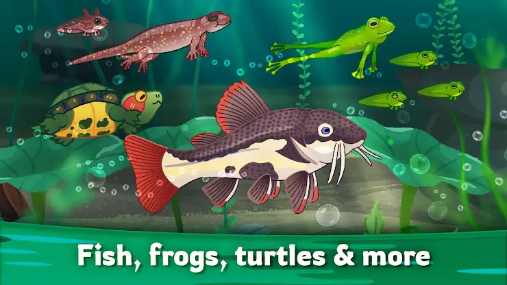 Pondlife — Fish, Frogs & More! screenshot 2