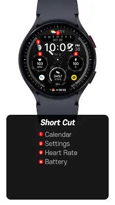 SamWatch AD XXI screenshot 3