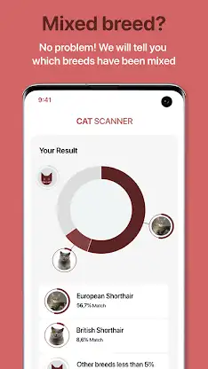 Cat Scanner: Breed Recognition screenshot 2