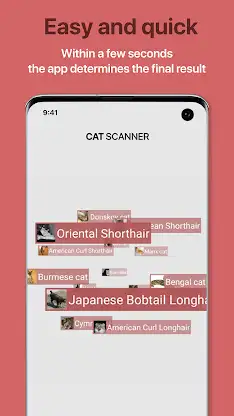 Cat Scanner: Breed Recognition screenshot 3