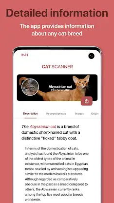 Cat Scanner: Breed Recognition screenshot 8