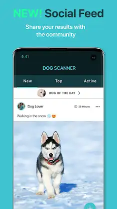 Dog Scanner: Breed Recognition screenshot 4