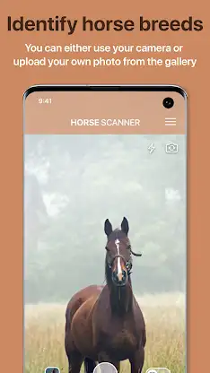Horse Scanner: Horse Breeds screenshot 1