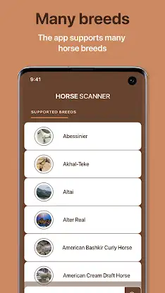 Horse Scanner: Horse Breeds screenshot 7