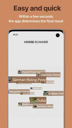 Horse Scanner: Horse Breeds screenshot 2