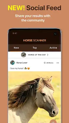 Horse Scanner: Horse Breeds screenshot 4