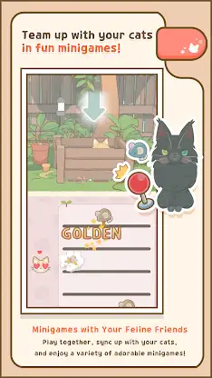 Window Meow screenshot 8