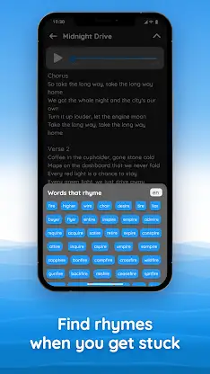 write lyrics & save your ideas screenshot 3
