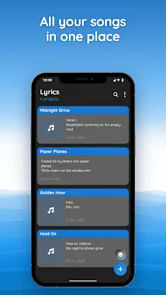 write lyrics & save your ideas screenshot 4