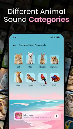 Animal Ringtones - Bird Sounds screenshot 7