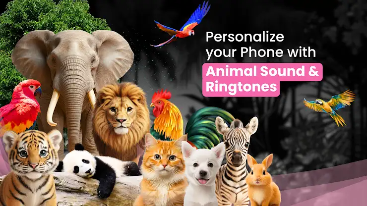 Animal Ringtones - Bird Sounds screenshot 1