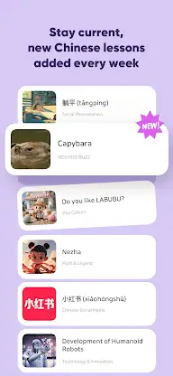 SuperChinese: Learn Chinese screenshot 8