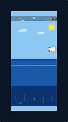 SeagullSurf screenshot 1