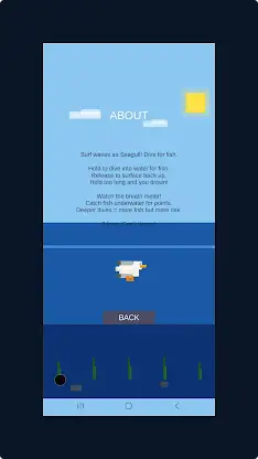 SeagullSurf screenshot 2