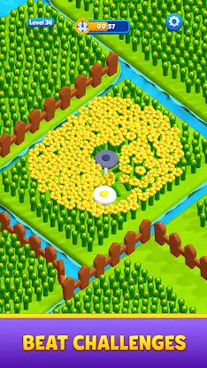Flower Fest! screenshot 4