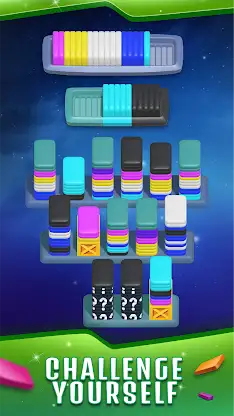 Sort Dash - Match Color Puzzle screenshot 3