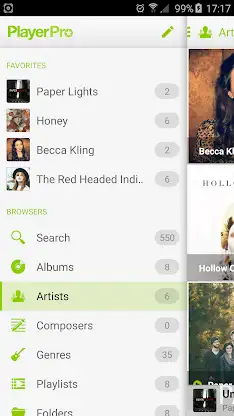 PlayerPro Cloudy Green Skin screenshot 4