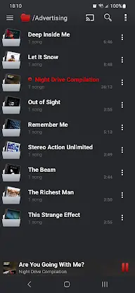 PlayerPro Music Player (Pro) screenshot 6